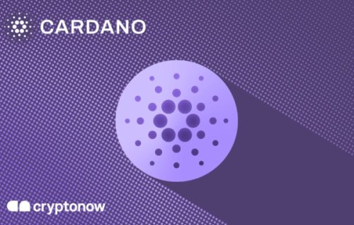 Cryptonow Cardano Gift Card