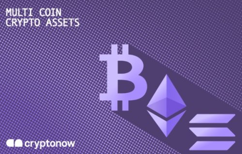 Cryptonow Multi Coin Gift Card