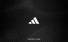 adidas  €100