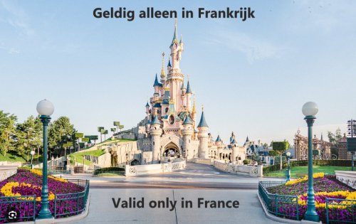 Disney France Plus 12 months subscription 