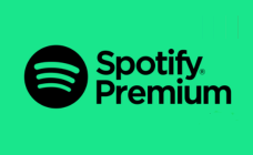 Spotify NEW 1month Digital Code BE